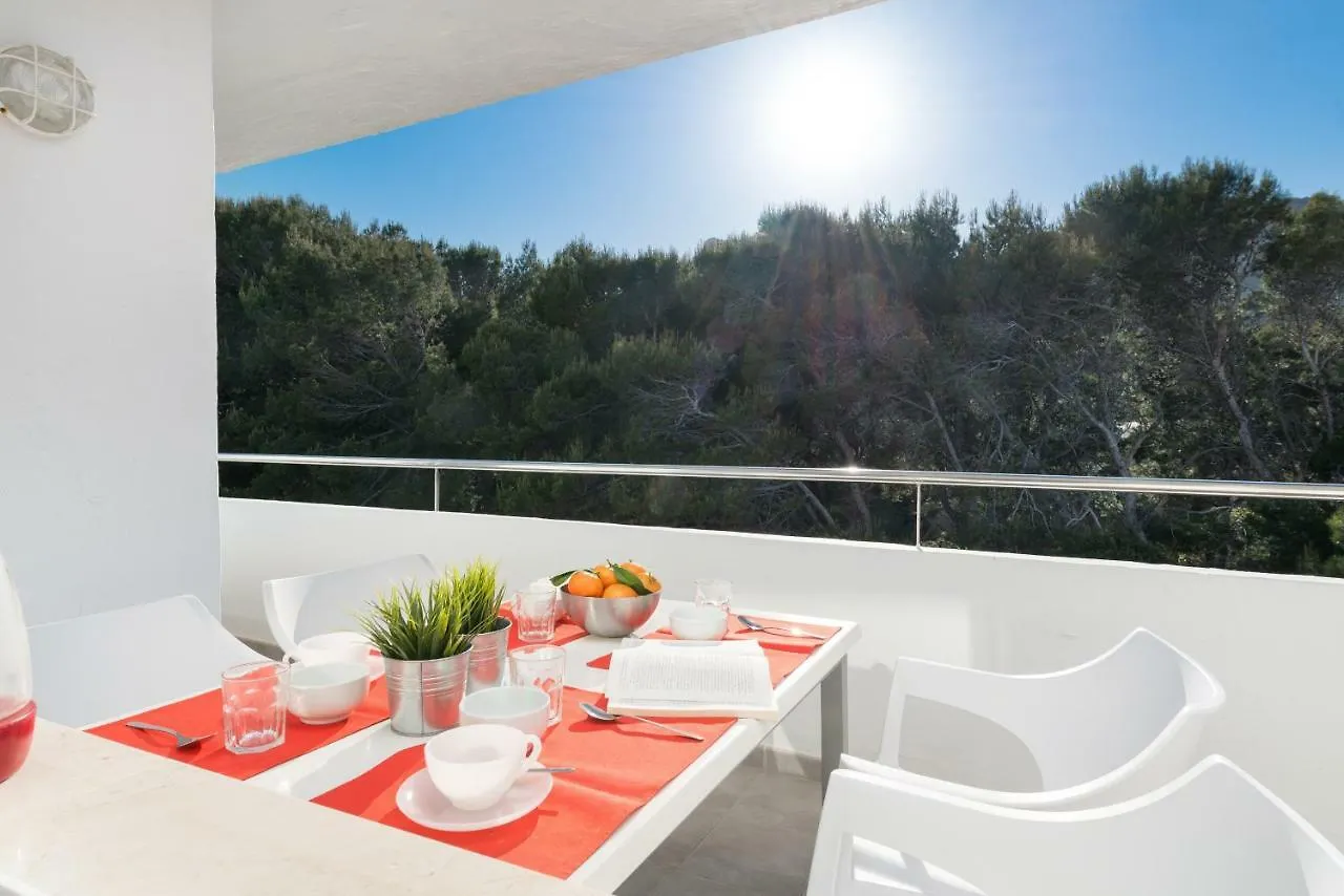 Cala Clara Apartment Cala San Vicente   Cala San Vicente (Mallorca)